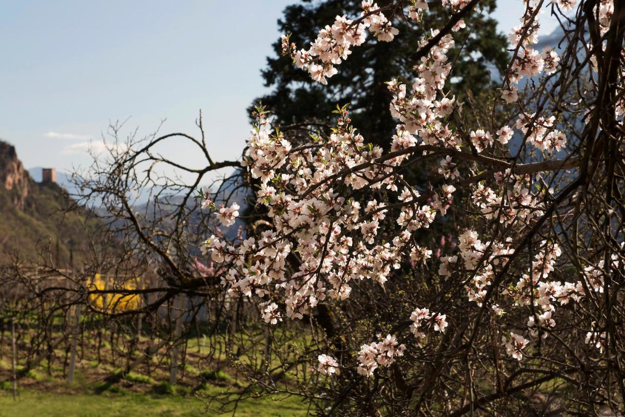 Villa Sonnenschein Terlano Eksteriør billede